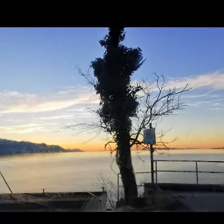Clementina Sunrise Orebic